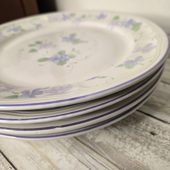 Set Of 4 Newcor Stoneware Dinner Plates - Picture 2 of 4